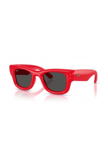 Ray Ban 4940 683187 Wayfarer puffer