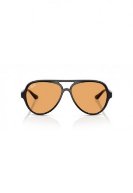 Ray Ban 4125 601/33 Cats 5000